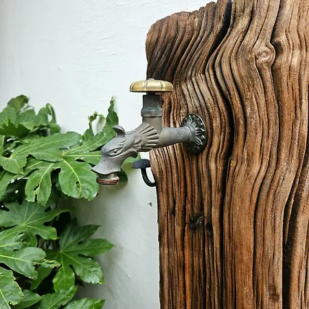 Paradise Garden Apartament Split